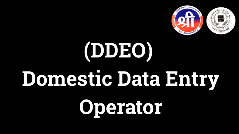 (DDEO) Domestic Data Entry Operator Shree Computer Skill Classes Sanjeevani Institute of IT Dhamtari Domestic Data Entry Operator_SIIT